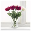 ИКЕА Искусственный цветок SMYCKA СМИККА, 703.357.64 - Home Club, изображение 2