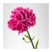 ИКЕА Цветок искусственный СМИККА, 103.356.58 - Home Club, изображение 3