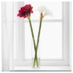 ИКЕА Искусственный цветок SMYCKA СМИККА, 403.265.01 - Home Club, изображение 2