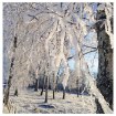 ІКЕА Свічка у посудині з кришкою VINTER 2016, 903.203.61 - Home Club, зображення 2