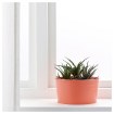 ІКЕА Миска SOCKER СОККЕР, 003.388.84 - Home Club, зображення 2