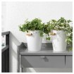 ИКЕА Горшок SOCKER СОККЕР, 803.388.75 - Home Club, изображение 2