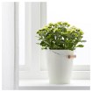 ИКЕА Горшок SOCKER СОККЕР, 803.388.75 - Home Club, изображение 3