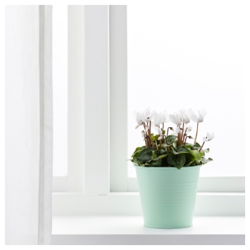 ИКЕА Кашпо СОККЕР, 503.388.29 - Home Club