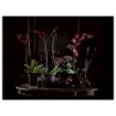 ИКЕА Горшок цветочный с поддоном ЮДЖУБЭР, 002.857.91 - Home Club, изображение 2