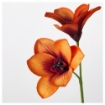 ИКЕА Цветок искусственный СМИККА, 003.884.02 - Home Club, изображение 3