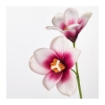 ИКЕА Цветок искусственный СМИККА, 803.883.99 - Home Club, изображение 3