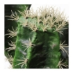ИКЕА Искусственное растение в горшке ФЕЙКА, 903.851.40 - Home Club, изображение 3