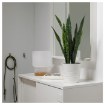 ИКЕА Искусственное растение в горшке FEJKA ФЕЙКА, 303.880.47 - Home Club, изображение 2