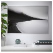 ИКЕА Плакат NORRHASSEL, 203.992.11 - Home Club, изображение 2