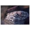 ИКЕА Комплект постельного белья МОССРУТА, 704.125.83 - Home Club, изображение 2