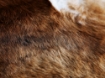 ІКЕА Коров'яча шкіра. KOLDBY КОЛЬДБІ, 402.229.33 - Home Club, зображення 4