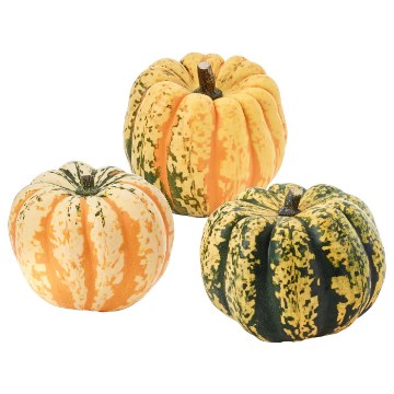 ІКЕА Декоративний гарбуз CUCURBITA, 106.293.35 - Home Club