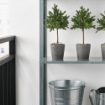ИКЕА Искусственное растение и кашпо ВИНТЕРФЕСТ, 504.329.83 - Home Club, изображение 2