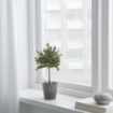 ИКЕА Искусственное растение и кашпо ВИНТЕРФЕСТ, 504.329.83 - Home Club, изображение 3