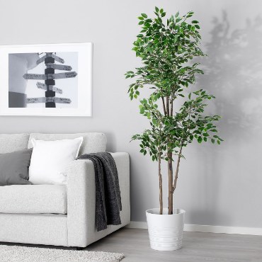 Серія FEJKA IKEA - Home Club
