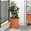 ИКЕА Горшок с поддоном INGEFÄRA ИНГЕФЭРА, 504.593.12 - Home Club, изображение 3