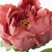 ИКЕА Цветок искусственный СМИККА, 804.097.97 - Home Club, изображение 2