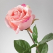 ИКЕА Цветок искусственный СМИККА, 603.335.91 - Home Club, изображение 3