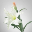 ИКЕА Искусственный цветок SMYCKA СМИККА, 403.335.87 - Home Club, изображение 5