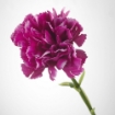 ИКЕА Цветок искусственный СМИККА, 903.356.59 - Home Club, изображение 3