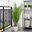 ІКЕА Штучна рослина в горщику FEJKA ФЕЙКА, 104.527.70 - Home Club, зображення 3