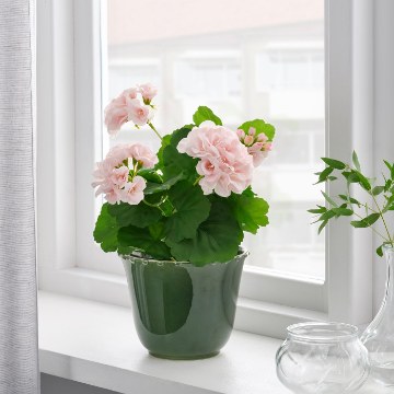 ІКЕА Кашпо SHARONFRUKT, 904.815.80 - Home Club