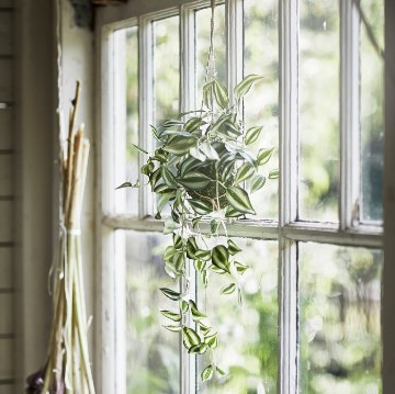 ІКЕА Штучна рослина INVÄNDIG, 004.833.38 - Home Club