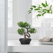 ИКЕА Искусственное растение в горшке FEJKA ФЕЙКА, 304.761.62 - Home Club, изображение 2
