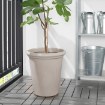 ИКЕА Горшок CHILIPEPPAR ЧИЛИПЕППЭР, 705.050.49 - Home Club, изображение 5