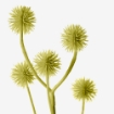 ИКЕА Цветок искусственный СМИККА, 204.760.73 - Home Club, изображение 3