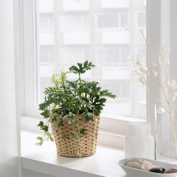 ІКЕА Штучна рослина в горщику FEJKA ФЕЙКА, 904.965.91 - Home Club