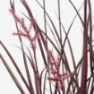 ИКЕА Искусственное растение в горшке ФЕЙКА, 204.965.99 - Home Club, изображение 2
