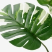 ИКЕА Искусственное растение в горшке ФЕЙКА, 804.966.00 - Home Club, изображение 2