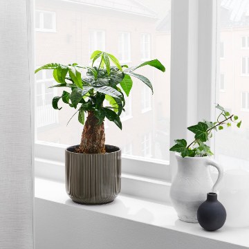 ИКЕА Горшок GRADVIS ГРАДВИС, 304.968.67 - Home Club