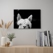 ИКЕА Картина PJÄTTERYD ПЬЕТТЕРИД, 805.076.89 - Home Club, изображение 2