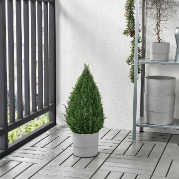 ІКЕА Штучна рослина в горщику FEJKA ФЕЙКА, 804.966.19 - Home Club