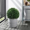 ИКЕА Искусственное растение FEJKA ФЕЙКА, 004.966.42 - Home Club, изображение 2