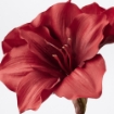 ИКЕА Цветок искусственный СМИККА, 404.965.55 - Home Club, изображение 3