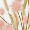 ІКЕА Букет зі штучних квітів SMYCKA СМЮККА, 205.066.64 - Home Club, зображення 2