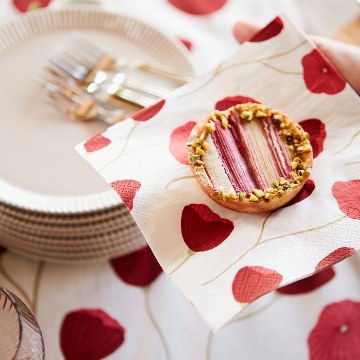 ИКЕА Салфетки ANLEDNING, 405.133.81 - Home Club