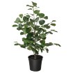 ІКЕА Штучна рослина в горщику FEJKA ФЕЙКА, 005.229.76 - Home Club