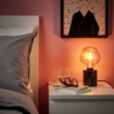 ИКЕА Настольная лампа с лампочкой MARKFROST / MOLNART, 794.913.40 - Home Club, изображение 2
