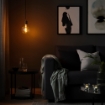 ІКЕА Підвісний світильник з лампочкою SKAFTET СКАФТЕТ / MOLNART, 294.945.29 - Home Club, зображення 2