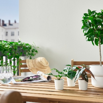 ИКЕА Искусственное растение в горшке ФЕЙКА, 505.380.17 - Home Club