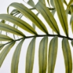 ИКЕА Искусственное растение в горшке ФЕЙКА, 305.380.04 - Home Club, изображение 3