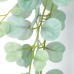 ИКЕА Искусственное растение с ручкой настенное FEJKA ФЕЙКА, 305.486.25 - Home Club, изображение 8