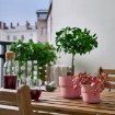 ИКЕА Горшок FÖRENLIG ФЁРЕНЛИГ, 105.359.97 - Home Club, изображение 3