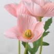 ИКЕА Искусственный цветок SMYCKA СМИККА, 305.601.51 - Home Club, изображение 4