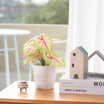 ИКЕА Искусственное комнатное растение FEJKA, 905.596.54 - Home Club